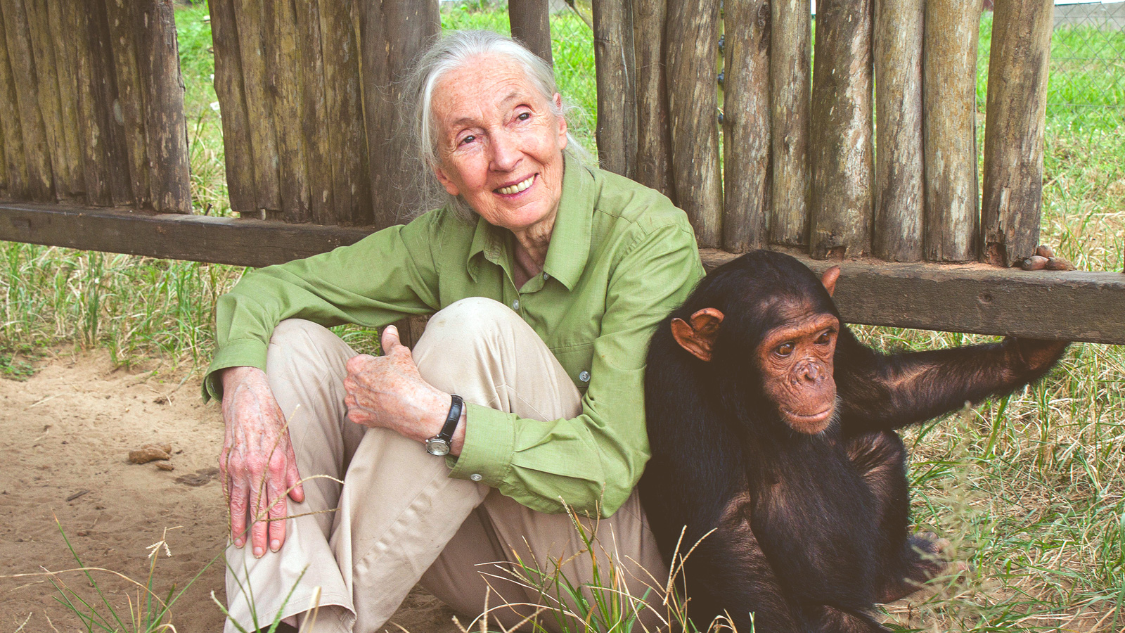Dr. Jane Goodall seated beside a young chimpanzee at a sanctuary