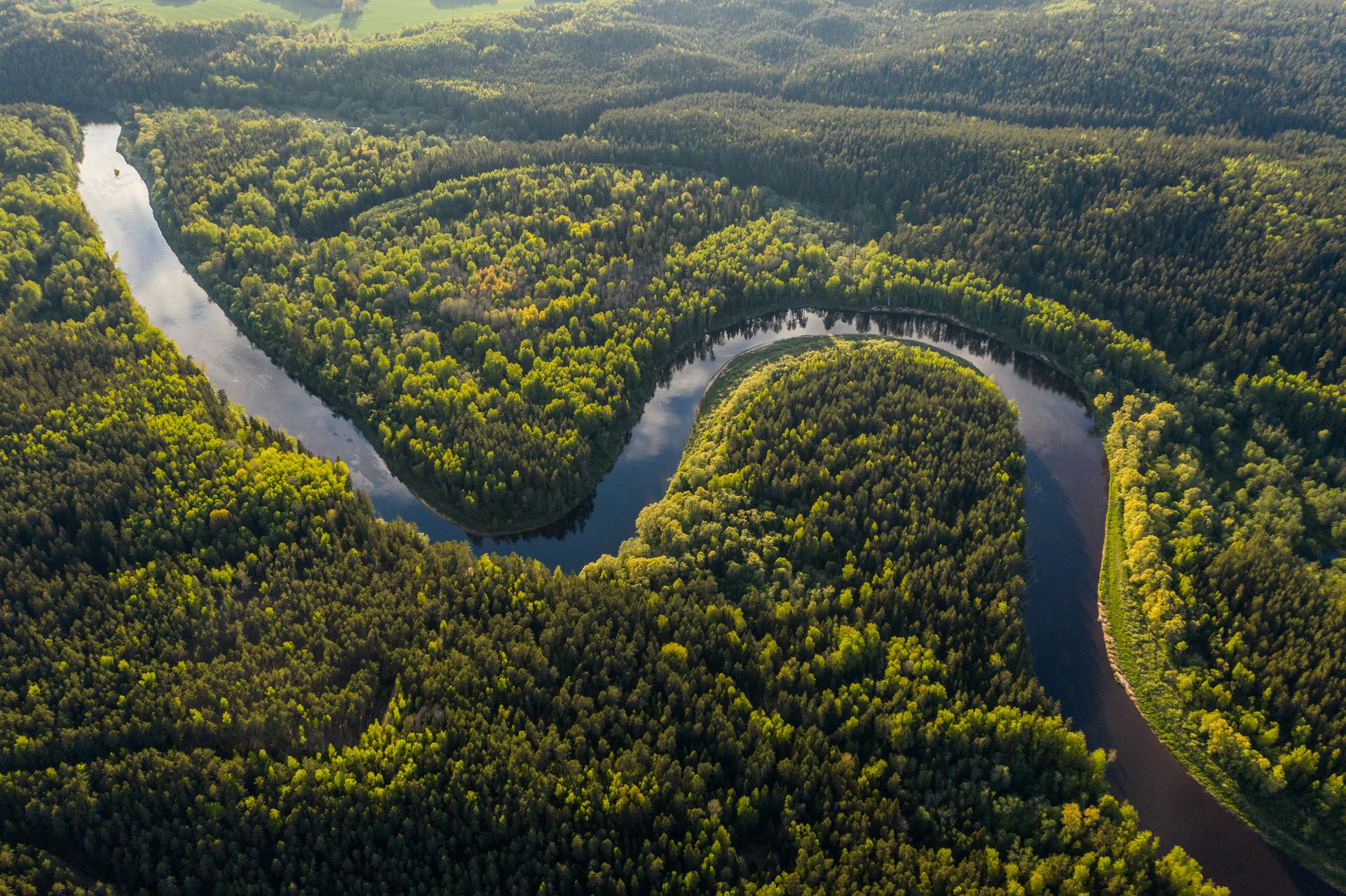 Aerial view of a protected river winding through dense green forest
