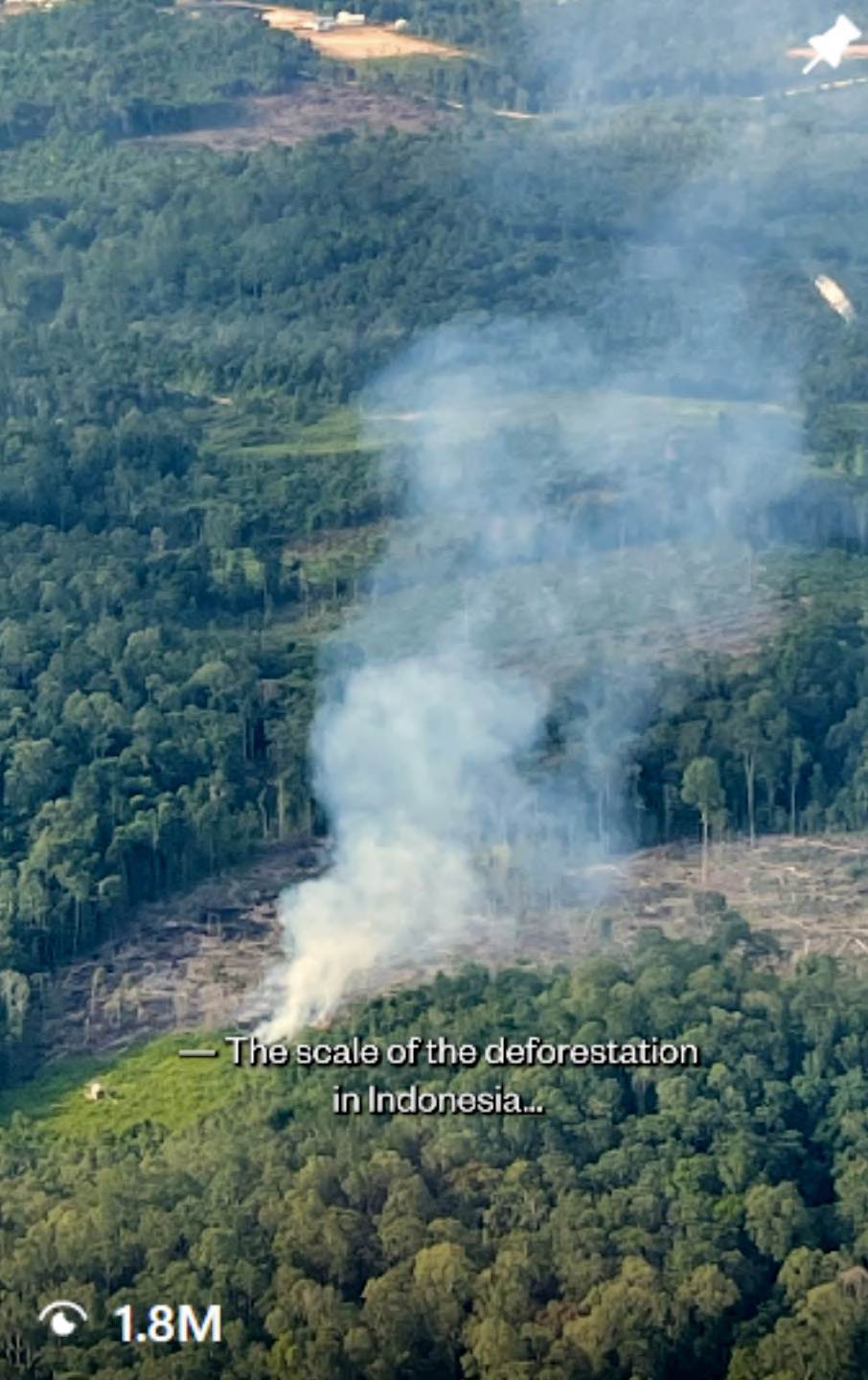 The scale of deforestation in Indonesia